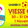 VIESSE CUP